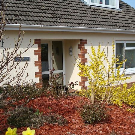 Talybont B&B Aberystwyth Tal-y-bont  Luaran gambar